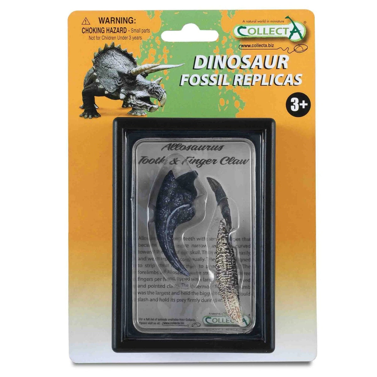 CollectA Tooth & Claw of Allosaurus-89288-Animal Kingdoms Toy Store