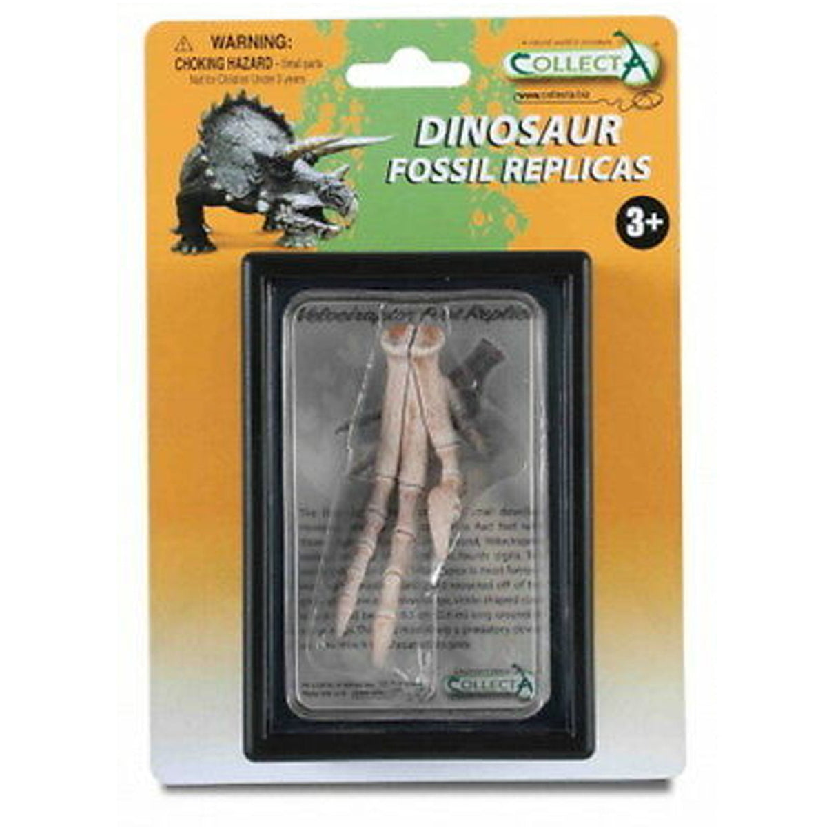 CollectA Velociraptor Foot-89285-Animal Kingdoms Toy Store