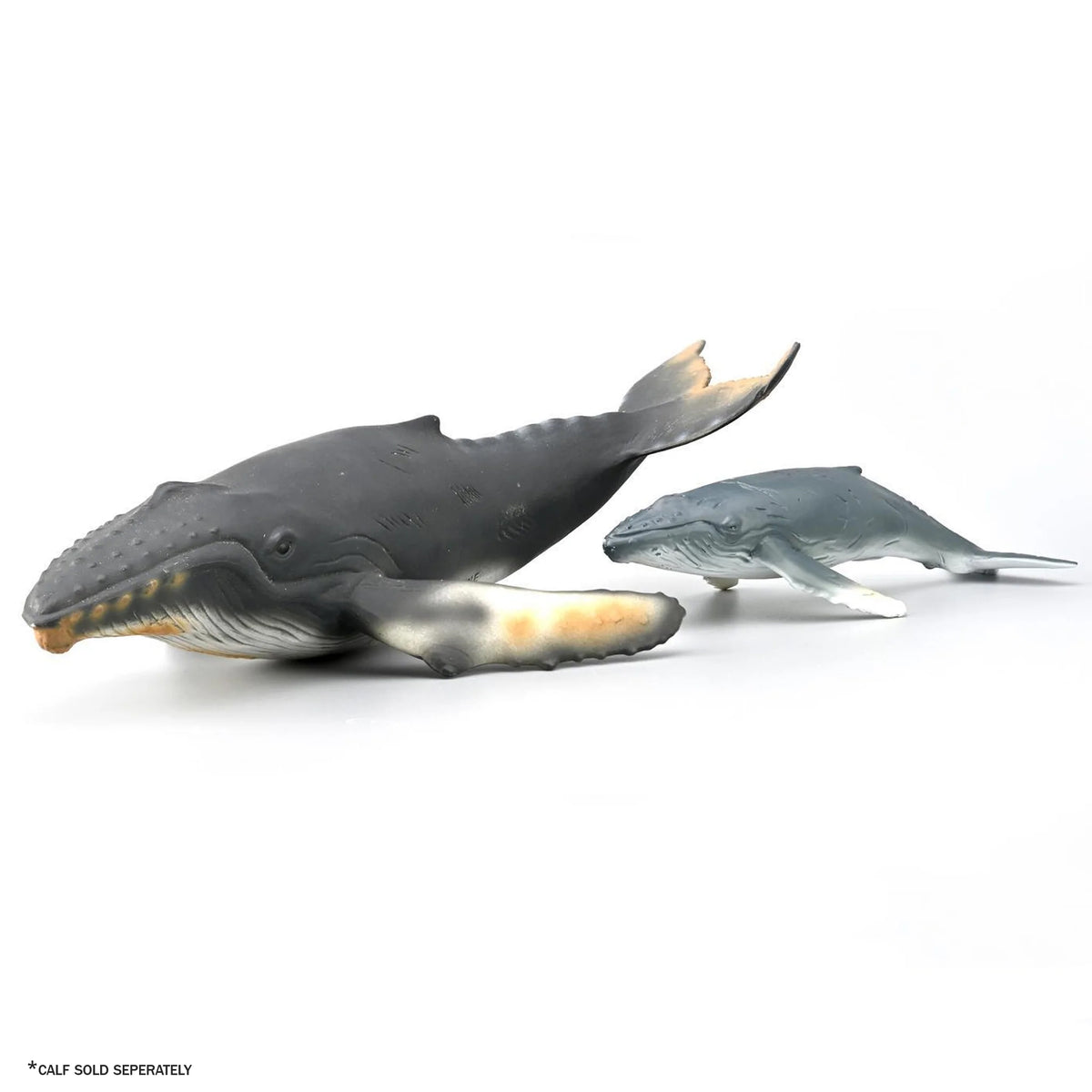 CollectA Humpback Whale