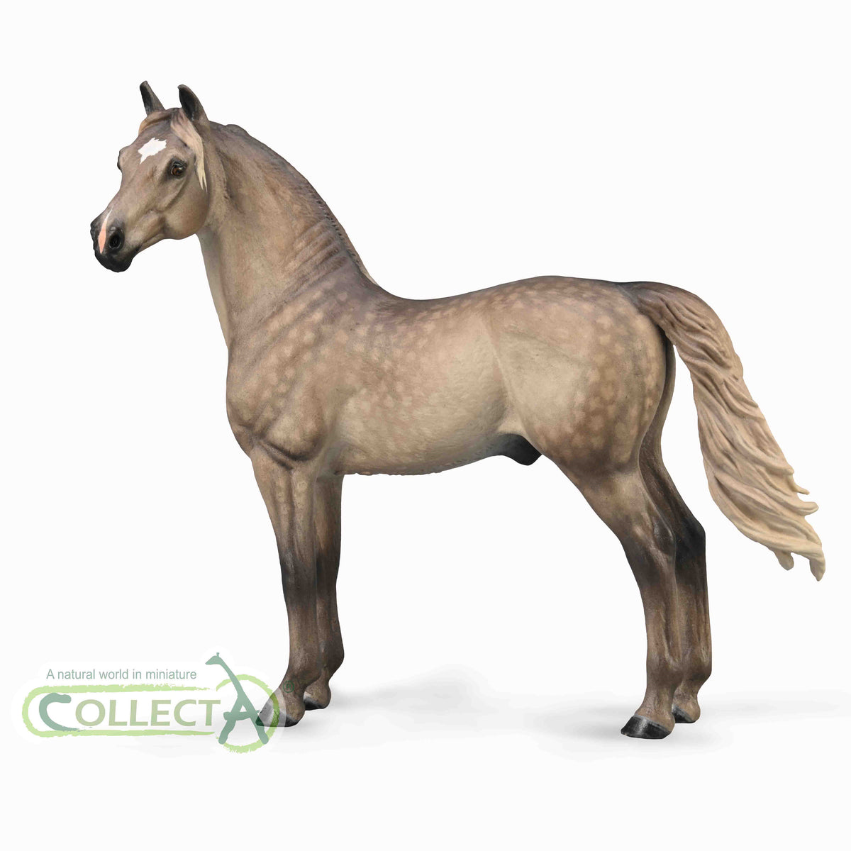 CollectA Morgan Stallion - Silver Grulla