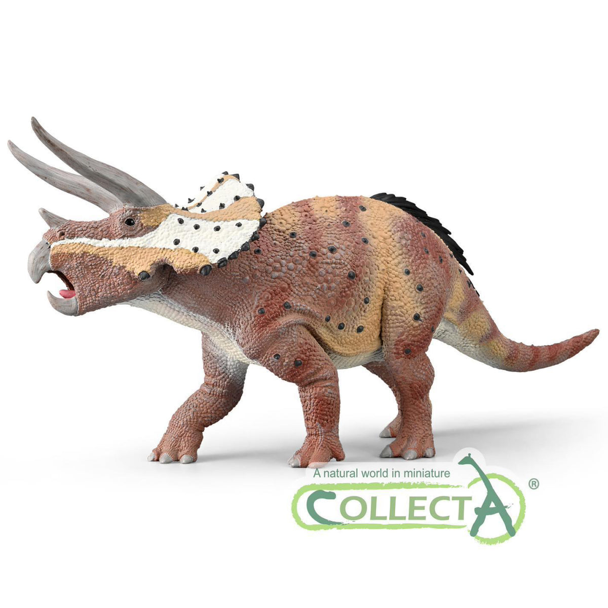 CollectA Triceratops Deluxe 1:40 with Moveable Jaw