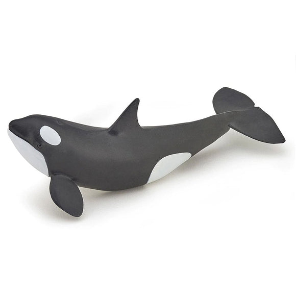 Papo Orca Killer Whale Calf-56040-Animal Kingdoms Toy Store
