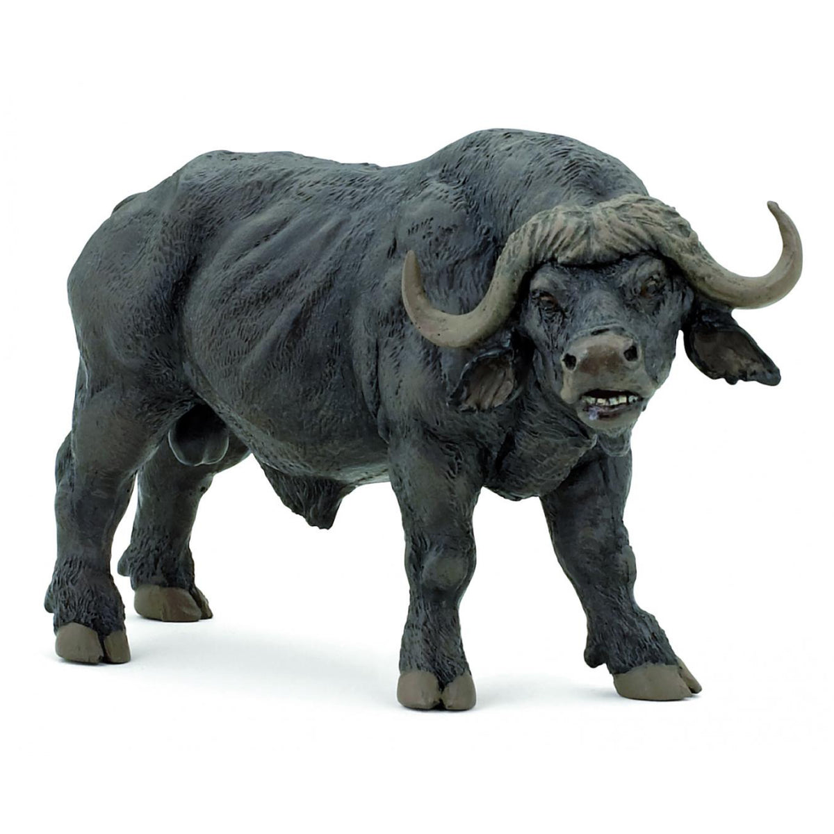 Papo Buffalo