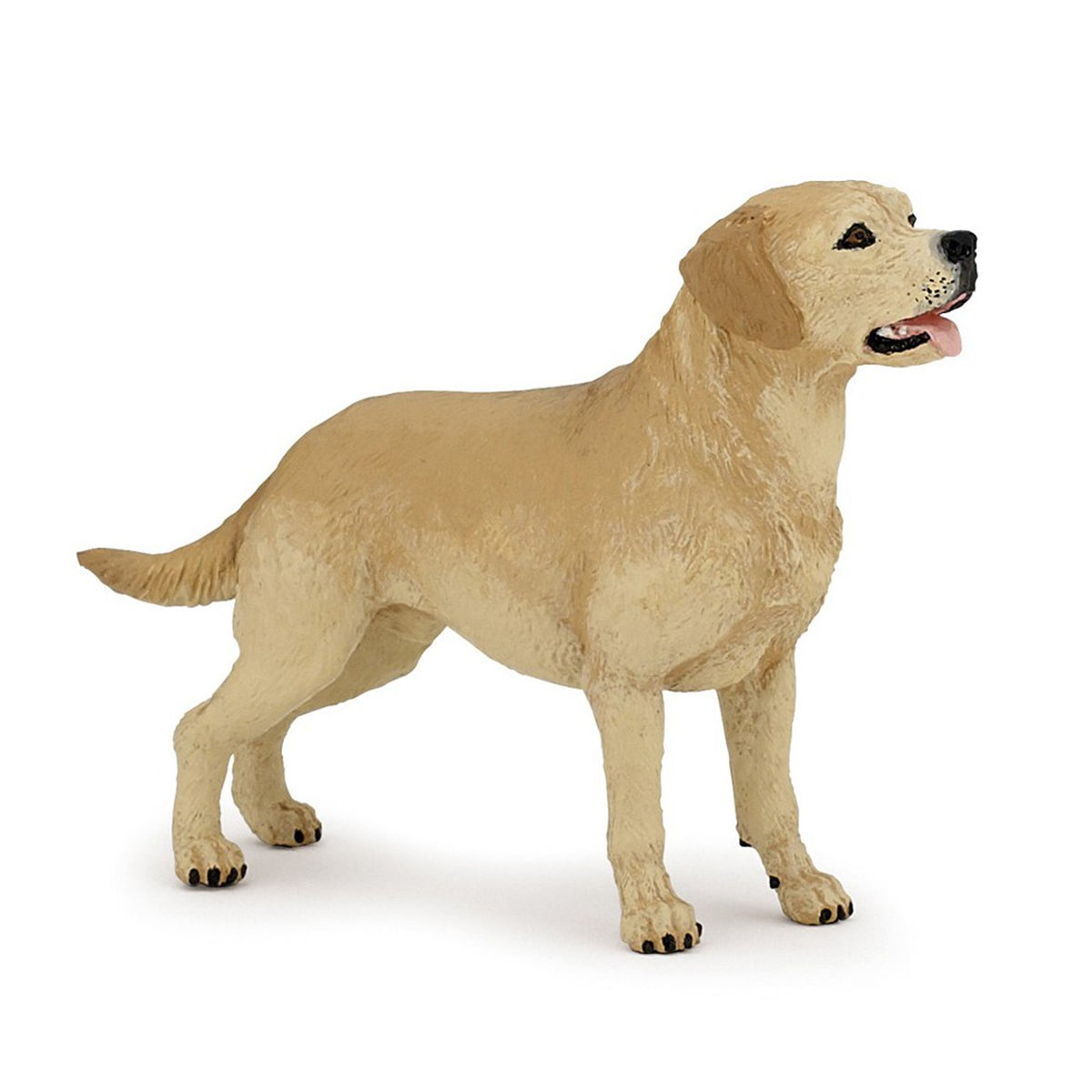 Papo Labrador