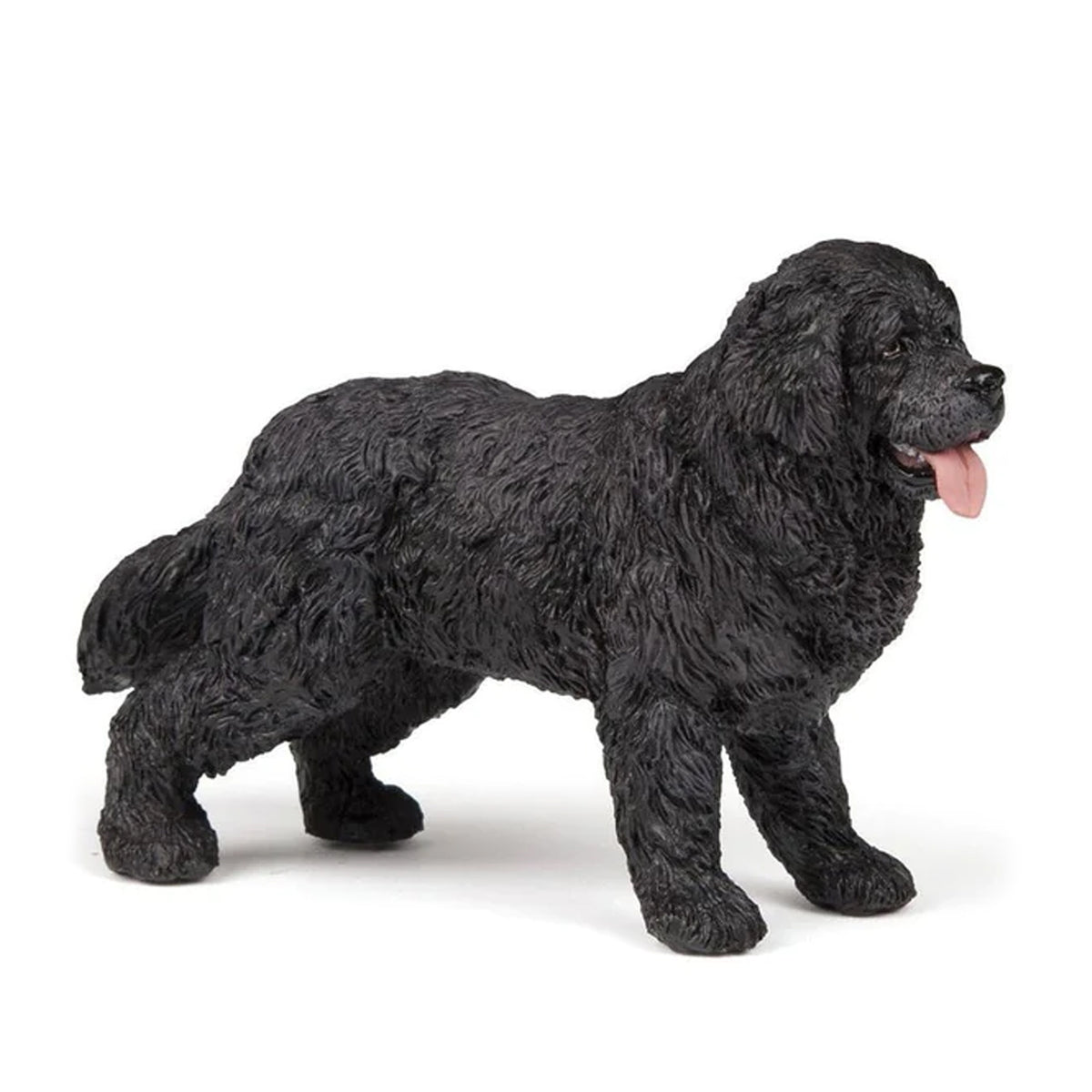 Papo Newfoundland