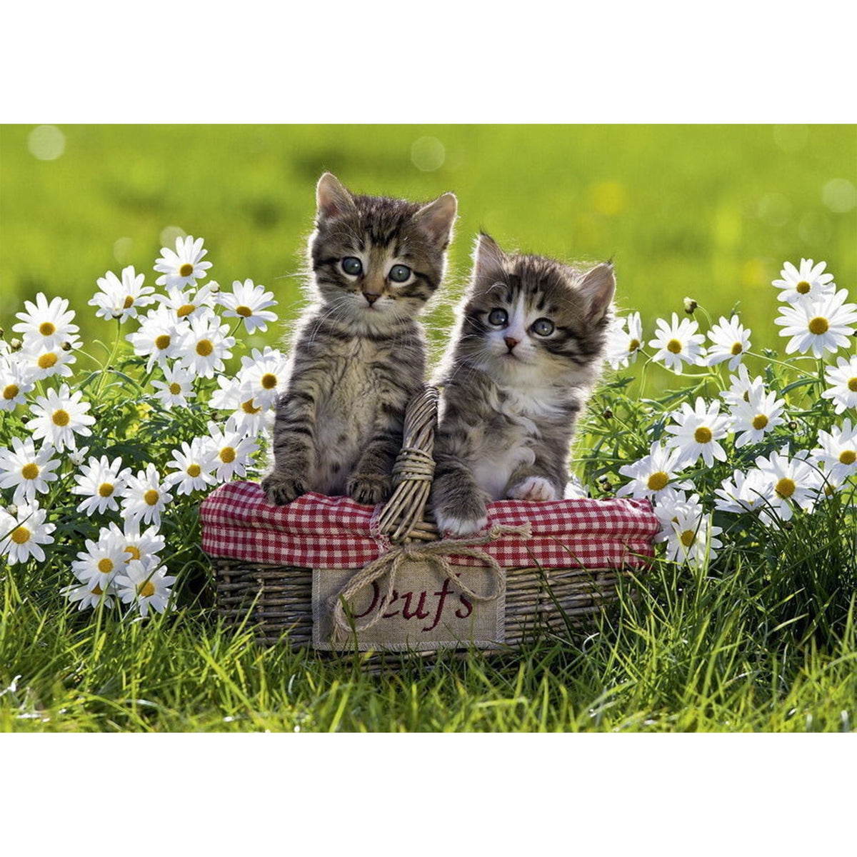 Ravensburger Picnic in the Meadow Puzzle 1000pc-RB19480-3-Animal Kingdoms Toy Store