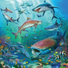Ravensburger Ocean Life Puzzle 3x49pc-RB05149-6-Animal Kingdoms Toy Store