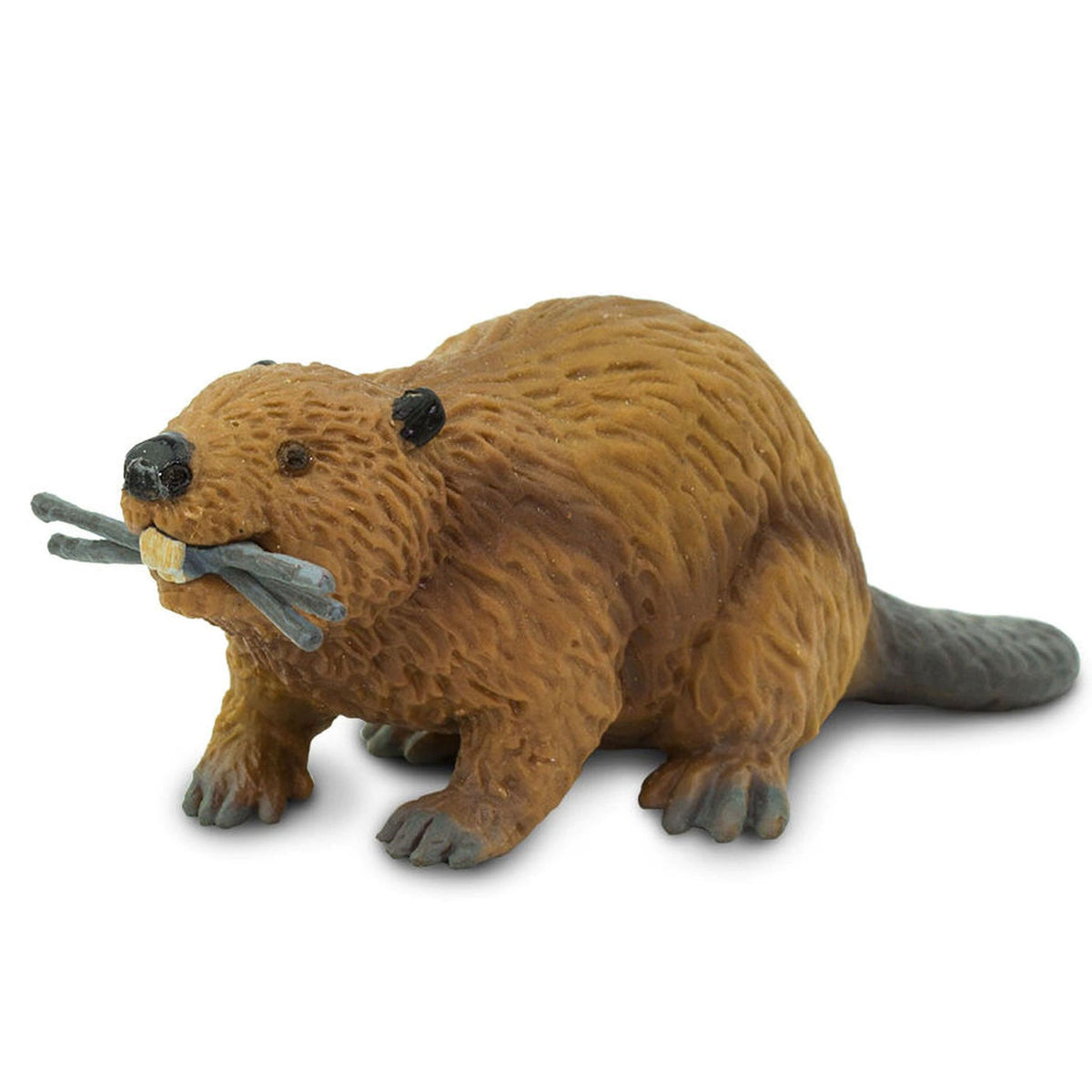 Safari Ltd Beaver-SAF283629-Animal Kingdoms Toy Store