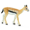 Safari Ltd Thomson's Gazelle-SAF227029-Animal Kingdoms Toy Store