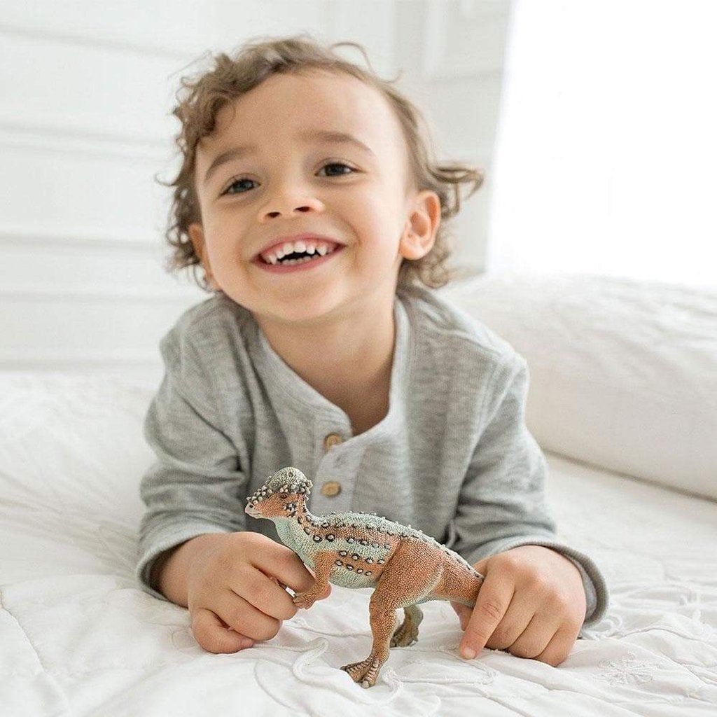 Safari Ltd Pachycephalosaurus-SAF100350-Animal Kingdoms Toy Store
