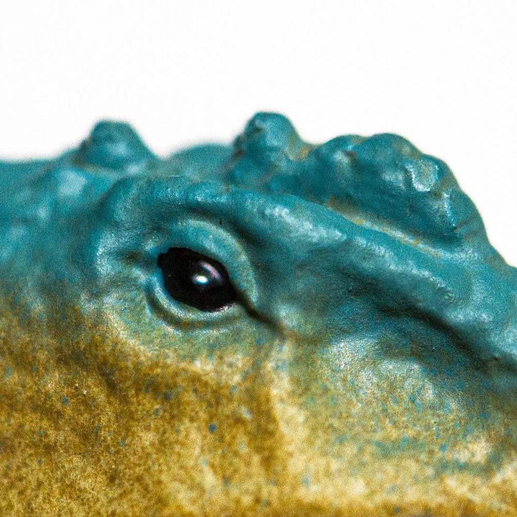 Safari Ltd Spinosaurus-SAF100825-Animal Kingdoms Toy Store