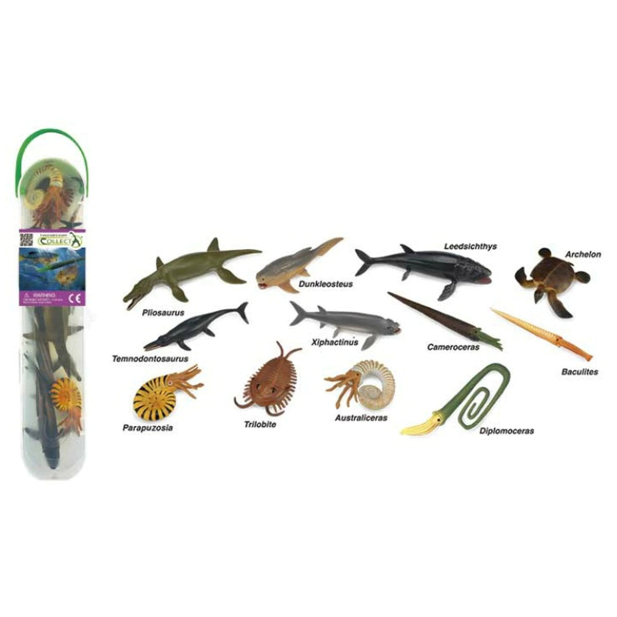 CollectA Mini Prehistoric Marine Tube-89A1104-Animal Kingdoms Toy Store