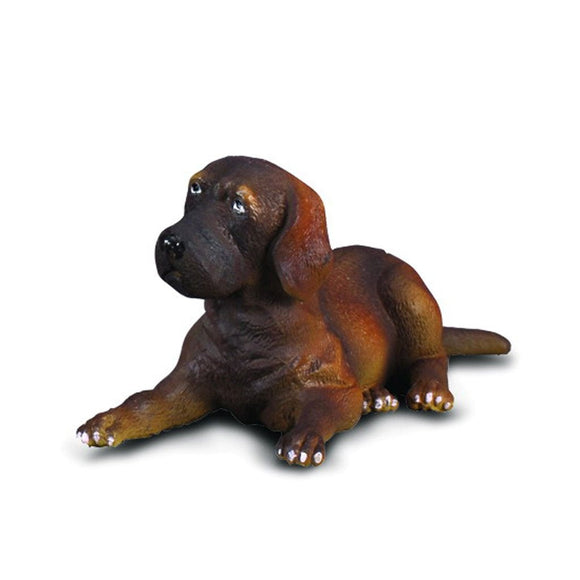 CollectA Great Dane Puppy-88065-Animal Kingdoms Toy Store