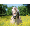 Ravensburger White Horse 500pc-RB15038-0-Animal Kingdoms Toy Store