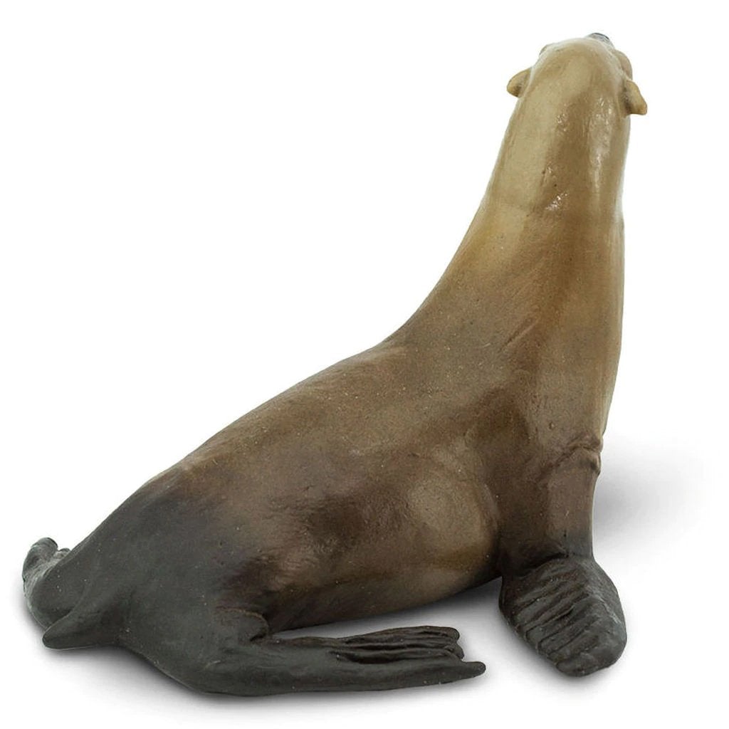 Safari Ltd Sea Lion-SAF274229-Animal Kingdoms Toy Store