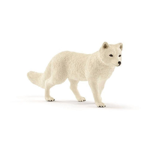 Schleich Arctic Fox-14805-Animal Kingdoms Toy Store