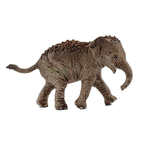 Schleich Asian Elephant Calf-14755-Animal Kingdoms Toy Store