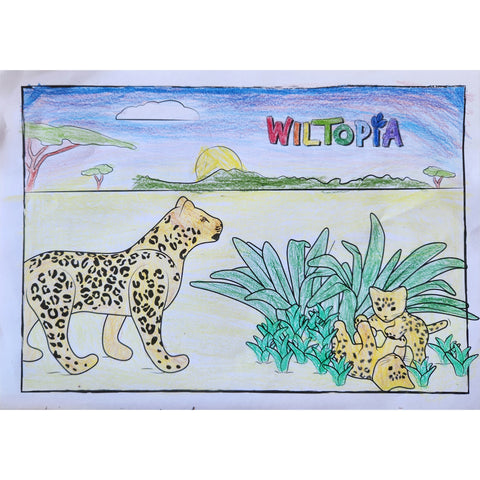 Colouring Competition Wiltopia 2023