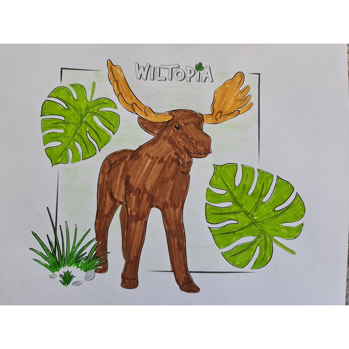 Colouring Competition Wiltopia 2023