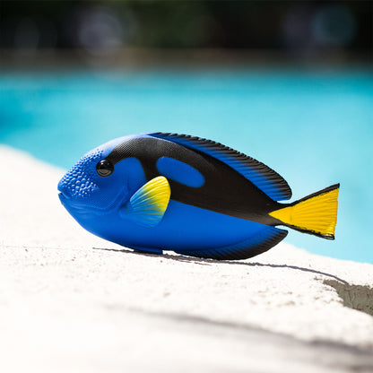 Safari Ltd Blue Tang