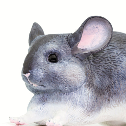 Safari Ltd Chinchilla Large Scale XL