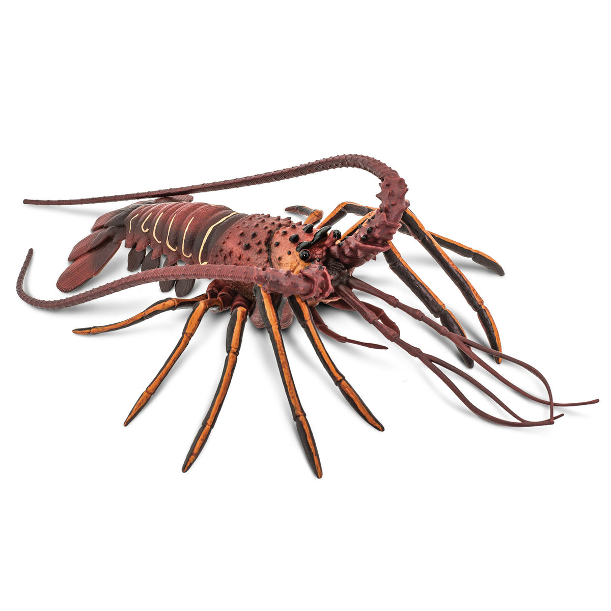 Safari Ltd Spiny Lobster Scale: 1:1 XL