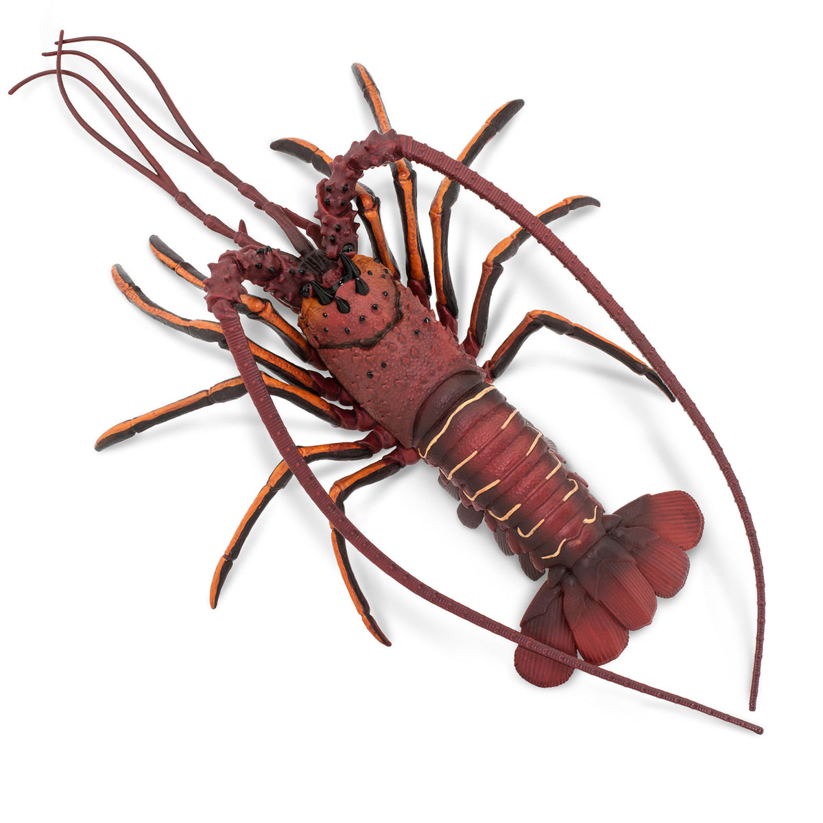 Safari Ltd Spiny Lobster Scale: 1:1 XL