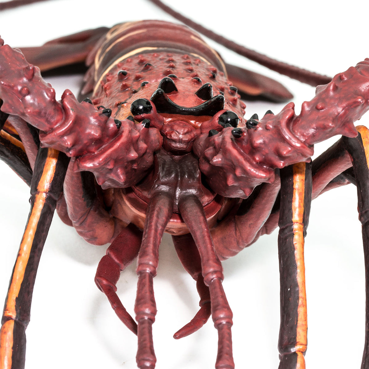 Safari Ltd Spiny Lobster Scale: 1:1 XL