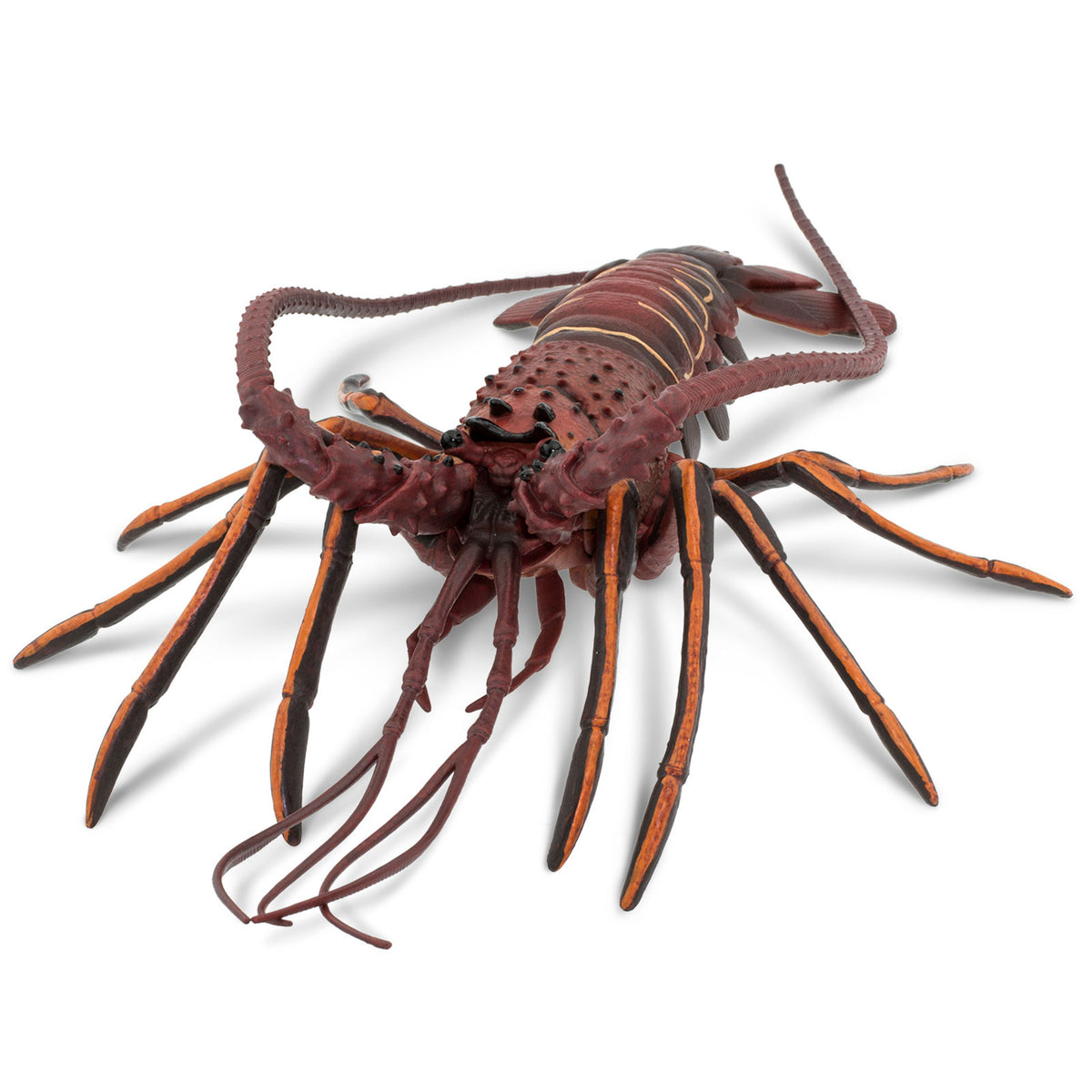 Safari Ltd Spiny Lobster Scale: 1:1 XL