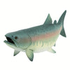 Safari Ltd Salmon XL