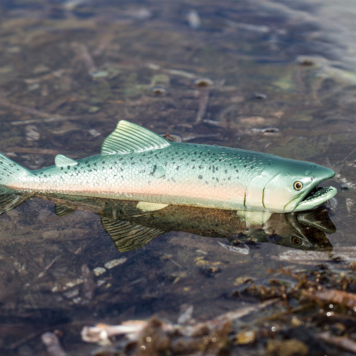 Safari Ltd Salmon XL