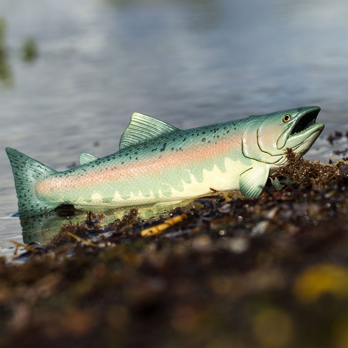 Safari Ltd Salmon XL