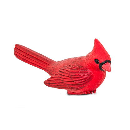 Safari Ltd Cardinal XL