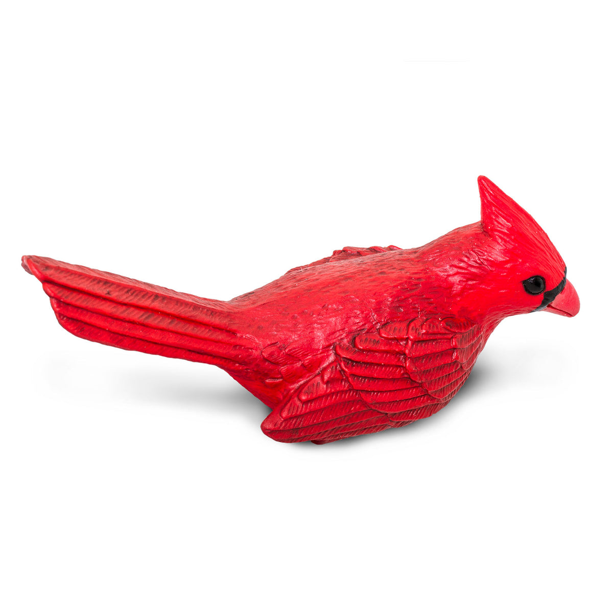 Safari Ltd Cardinal XL