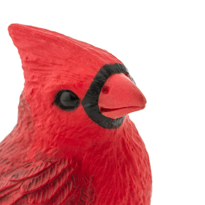 Safari Ltd Cardinal XL