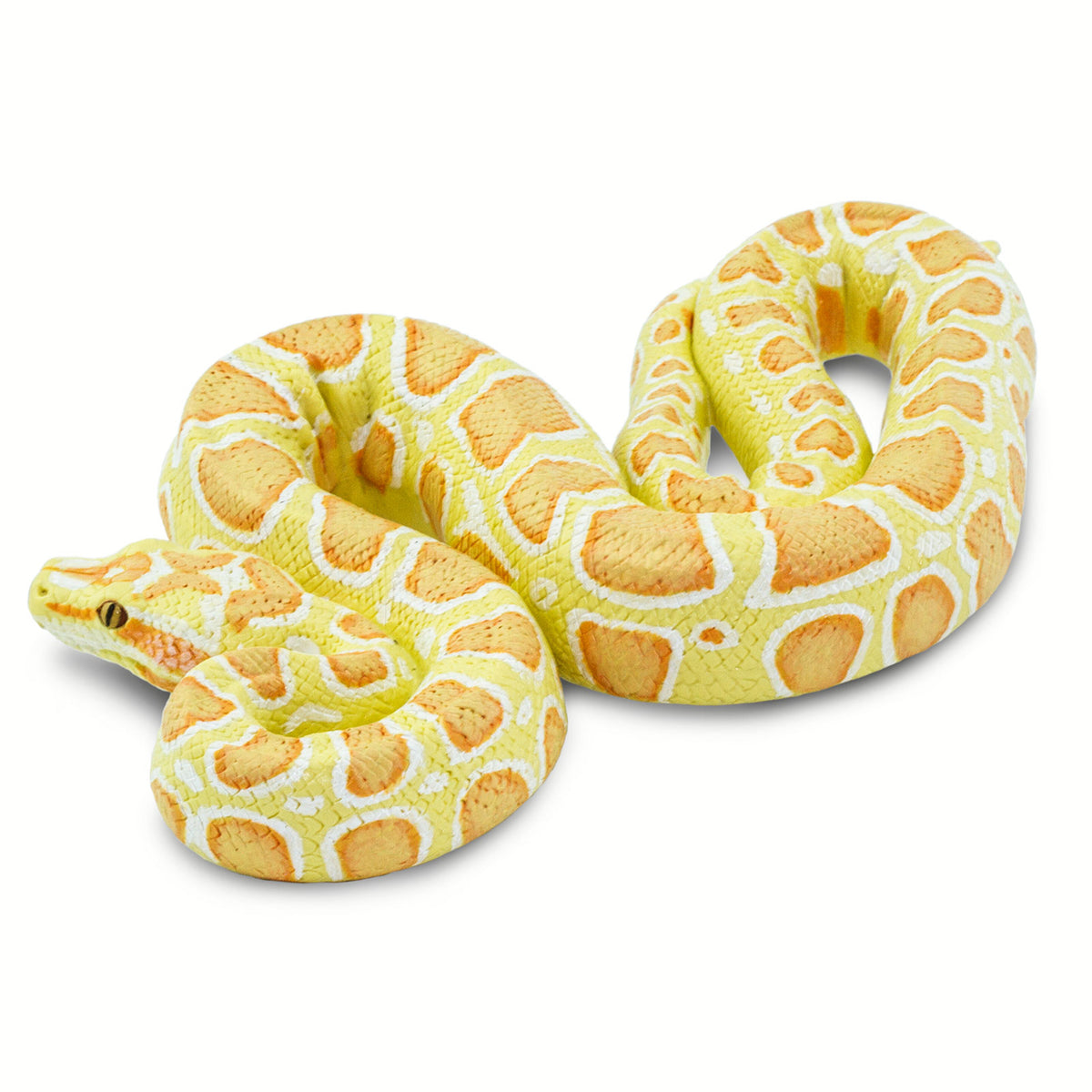 Safari Ltd Albino Burmese Python XL
