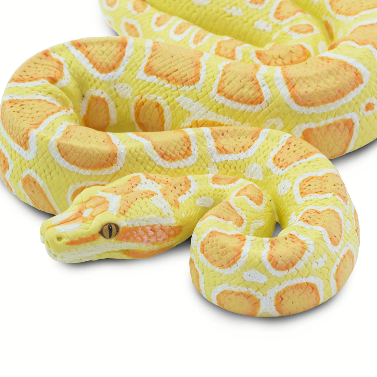 Safari Ltd Albino Burmese Python XL