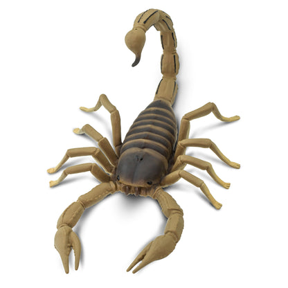 Safari Ltd Scorpion XL