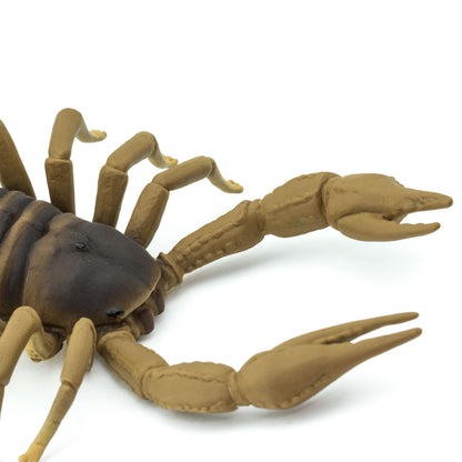 Safari Ltd Scorpion XL