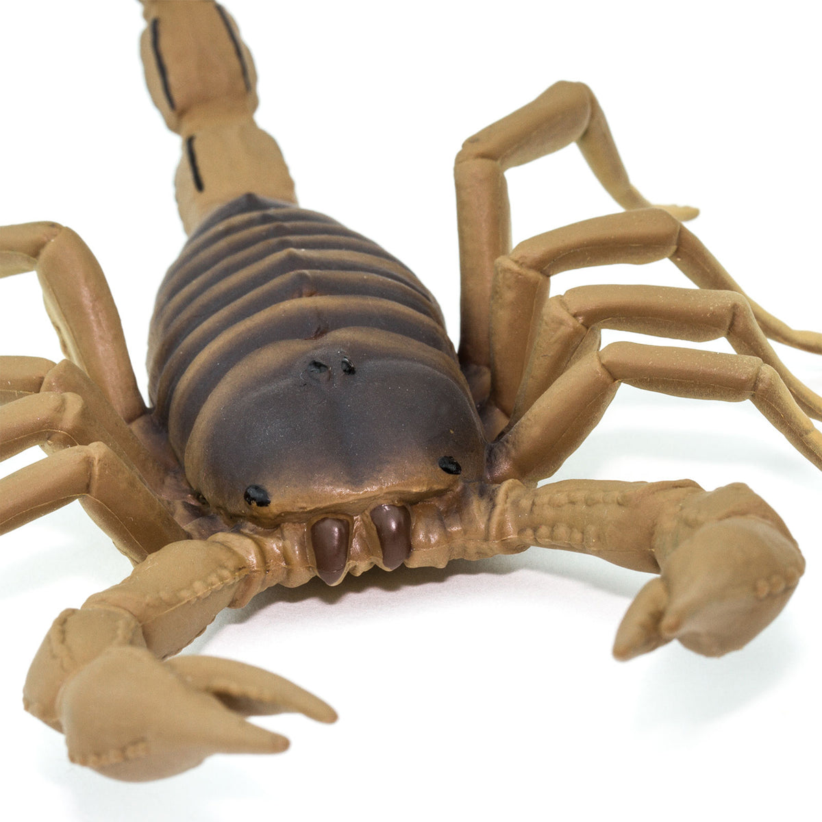 Safari Ltd Scorpion XL