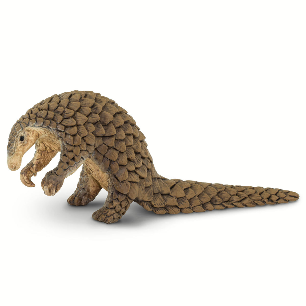 Safari Ltd Pangolin XL