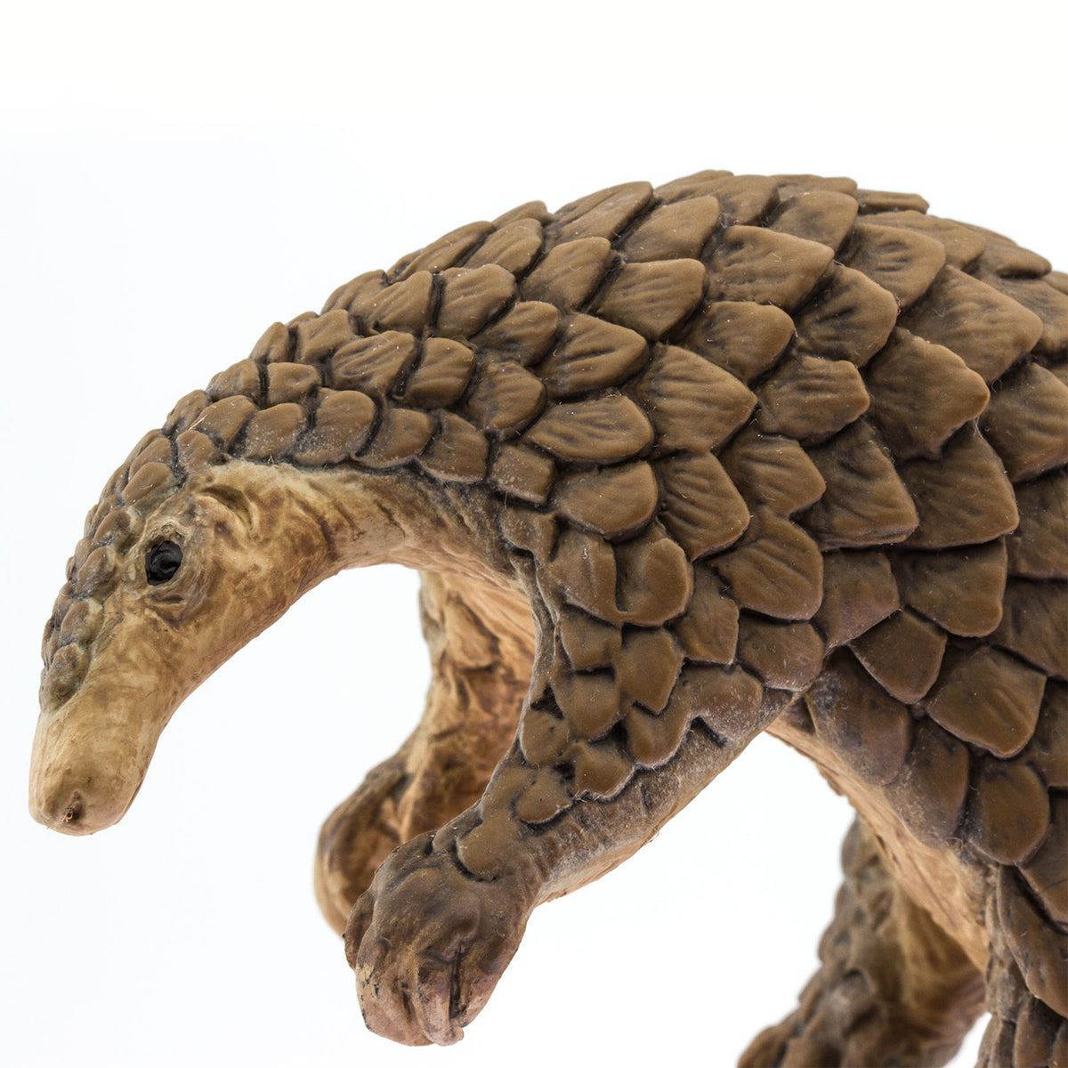 Safari Ltd Pangolin XL