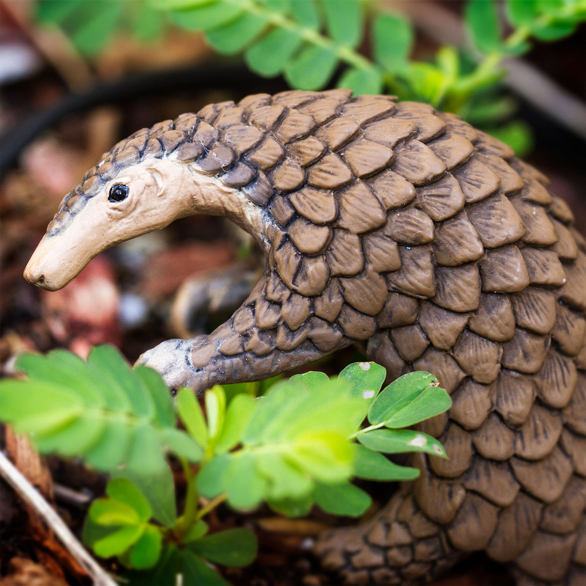 Safari Ltd Pangolin XL