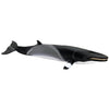Safari Ltd Minke Whale