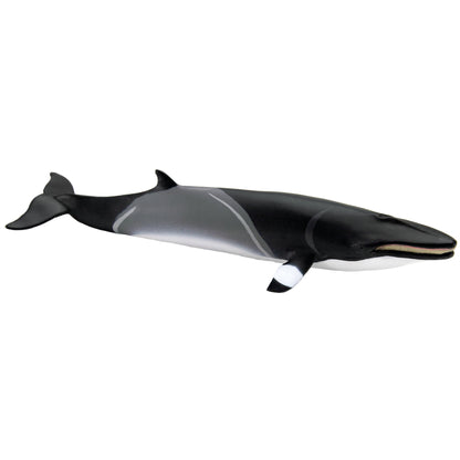 Safari Ltd Minke Whale