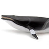 Safari Ltd Minke Whale