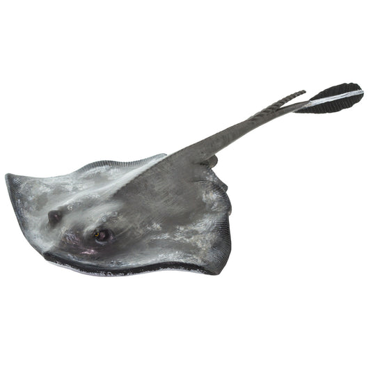 Safari Ltd Sting Ray XL