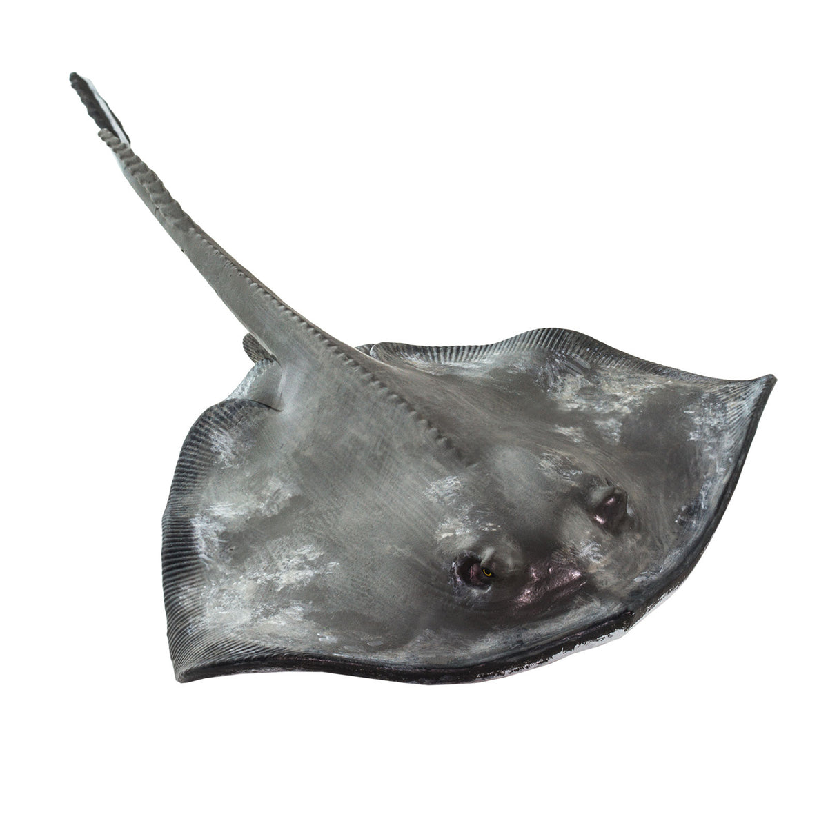 Safari Ltd Sting Ray XL
