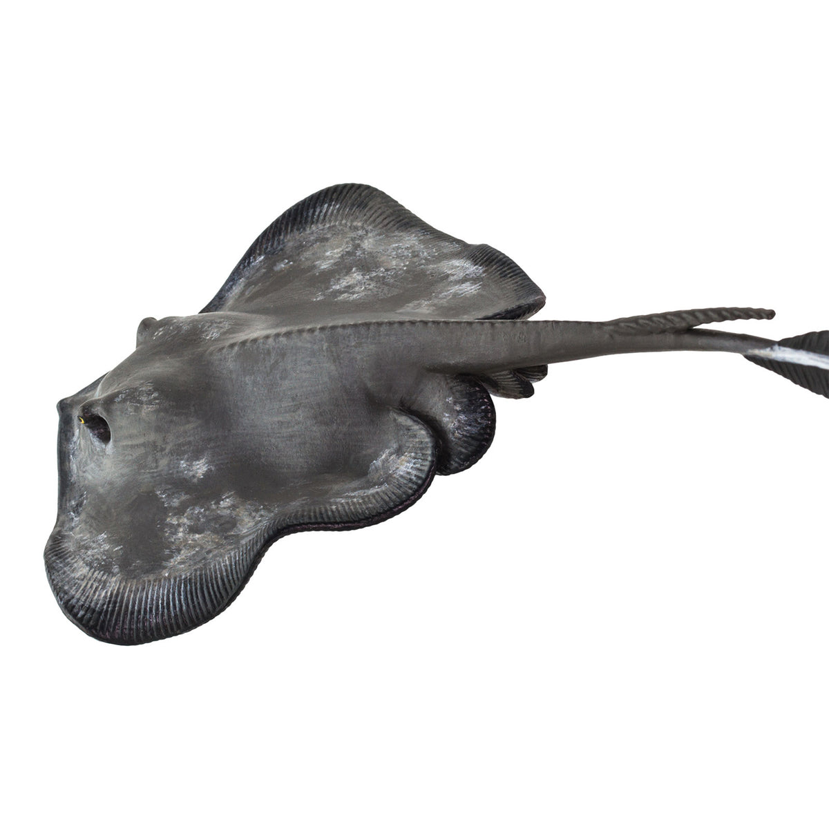 Safari Ltd Sting Ray XL