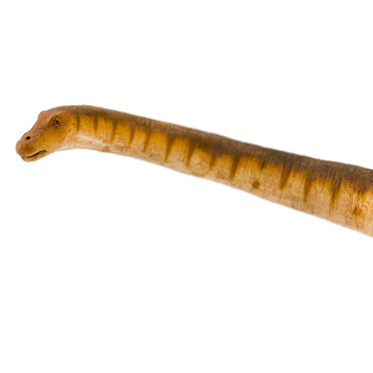 Safari Ltd Patagotitan